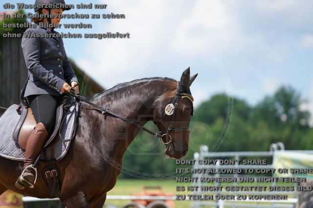 s_K3F06230.JPG